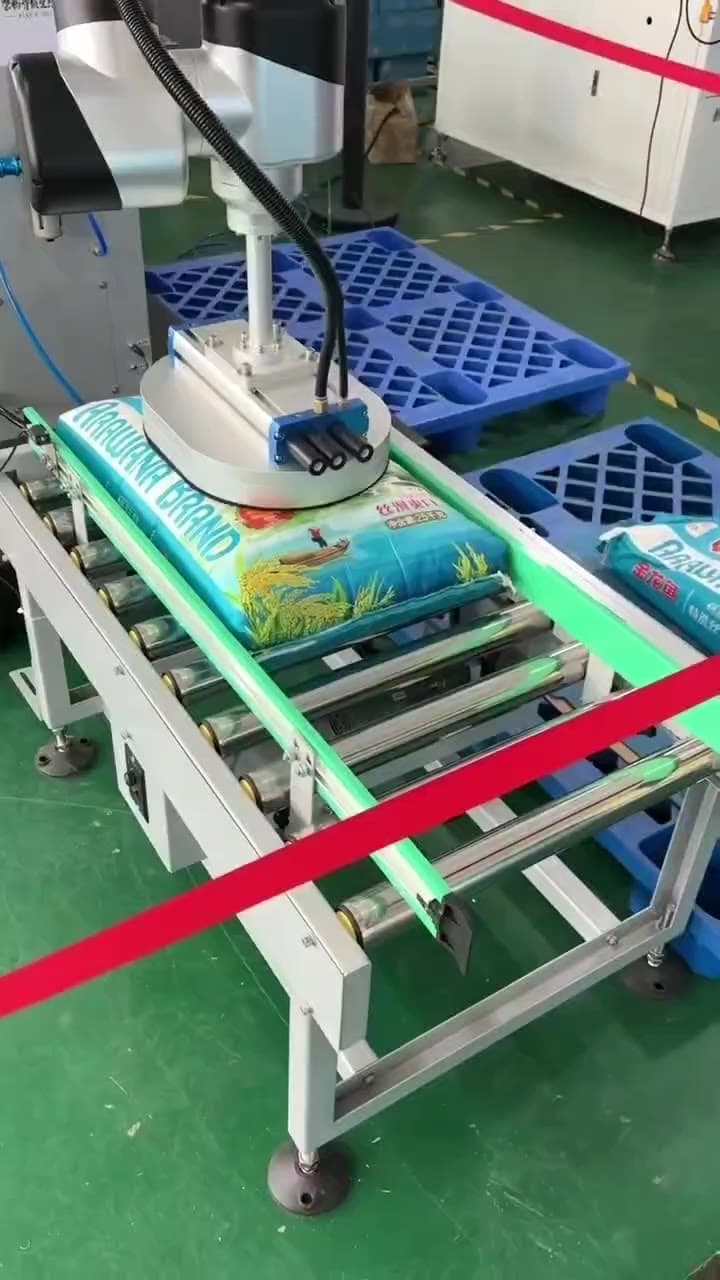 Cobot palletizer for bags
