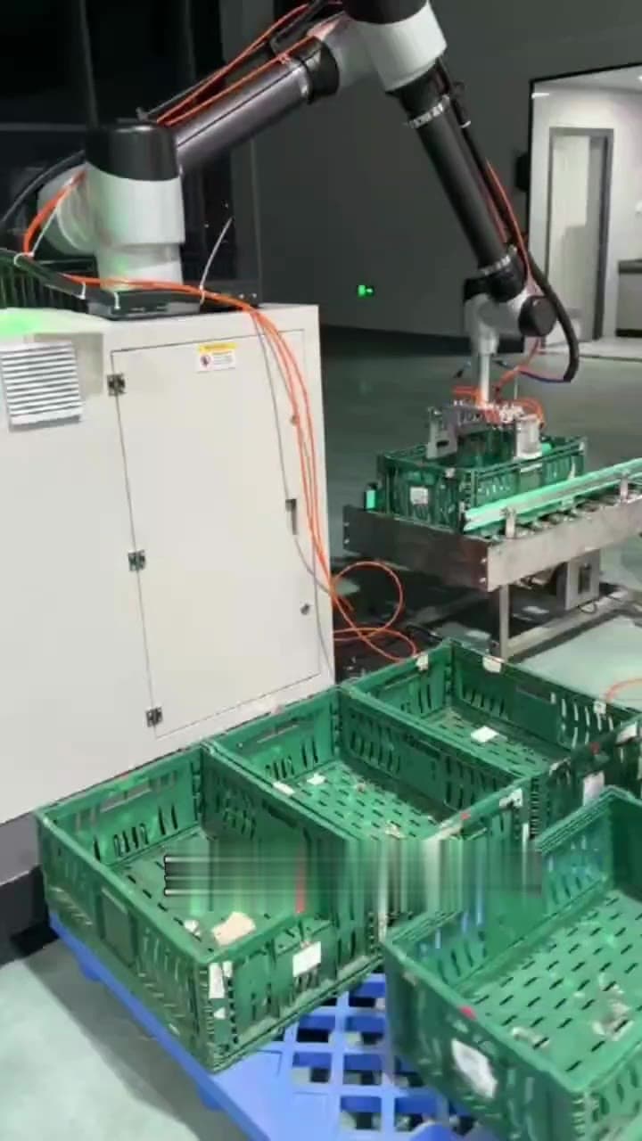 Robotic palletizer מטפל בארגזים